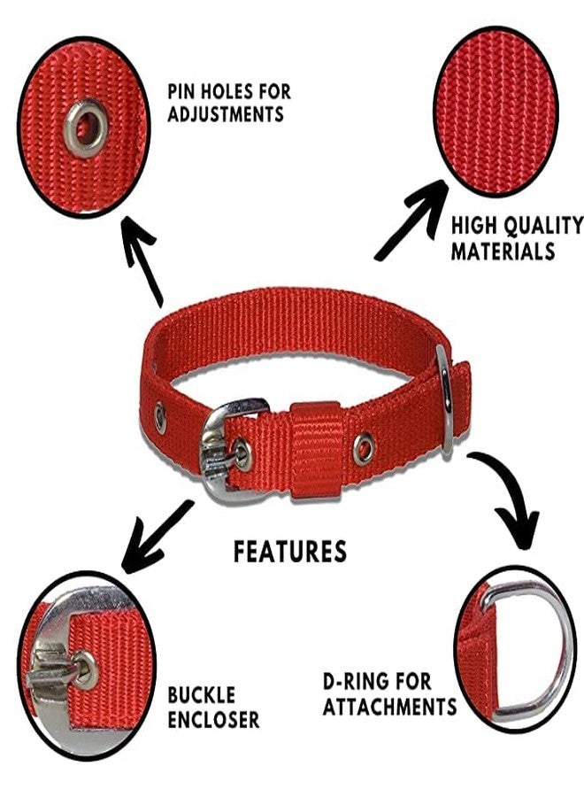 Pups&Pets طوق قابل للتعديل للكلاب من Pups&Pets، مع سلك ربط ووتد | وتد حلزوني متين مع مقود سلكي قوي بطول 16 قدمًا للتخييم والحديقة | وتد مع سلك ربط وحزام للكلاب المتوسطة والكبيرة حتى وزن 125 رطلاً - Image 2